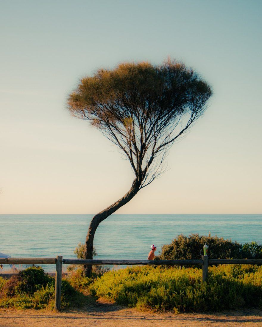 Solitude Coastline
