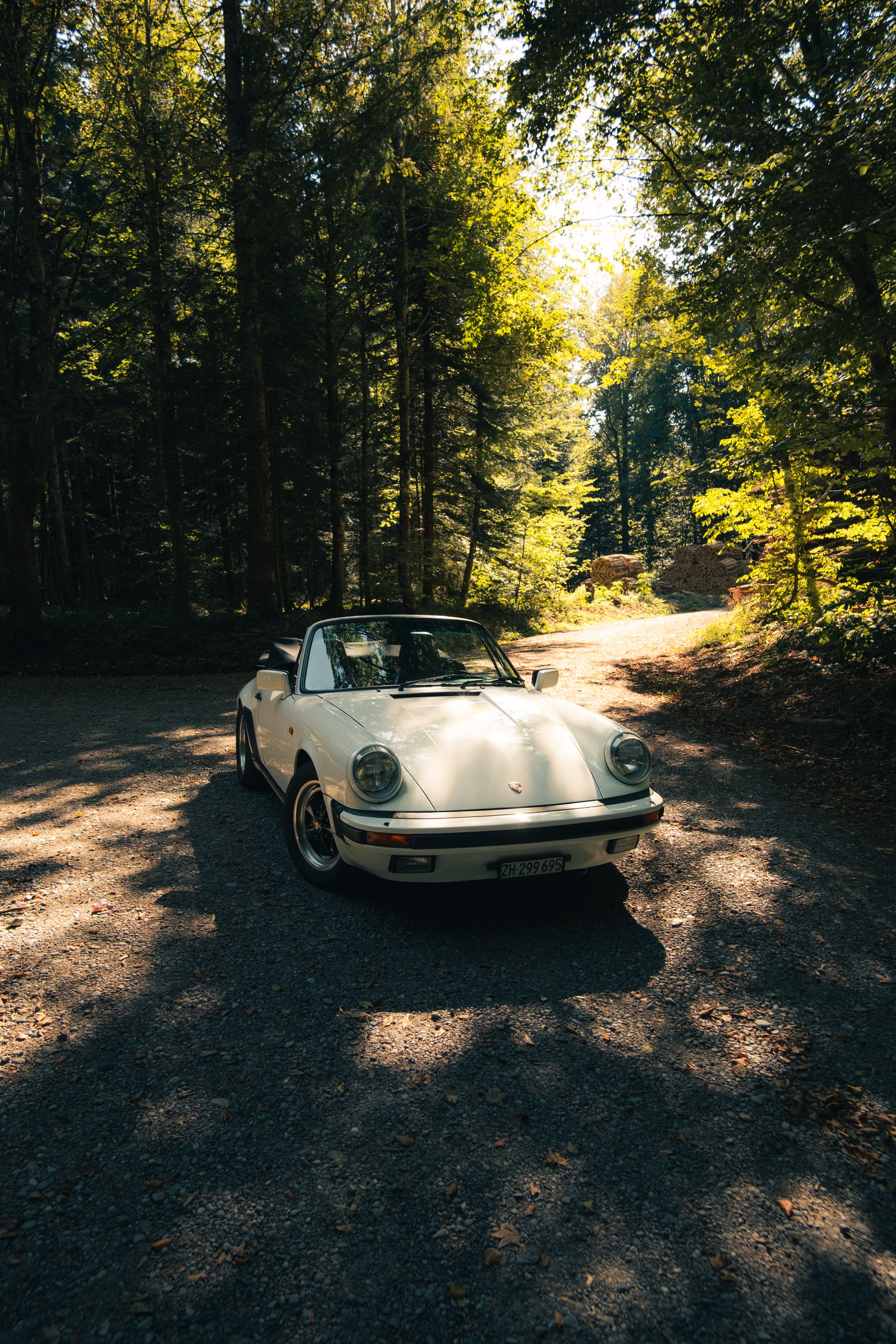 Forest Porsche